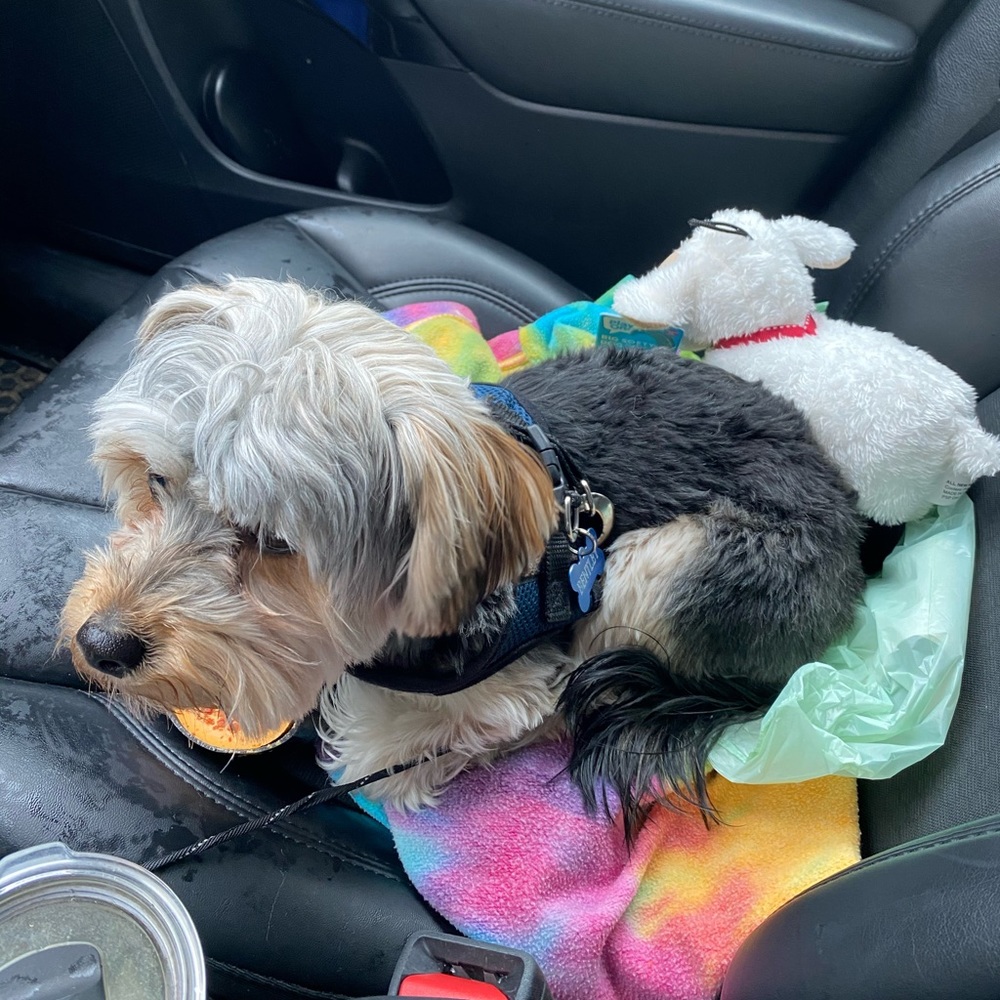 Meet your Posher, Mel